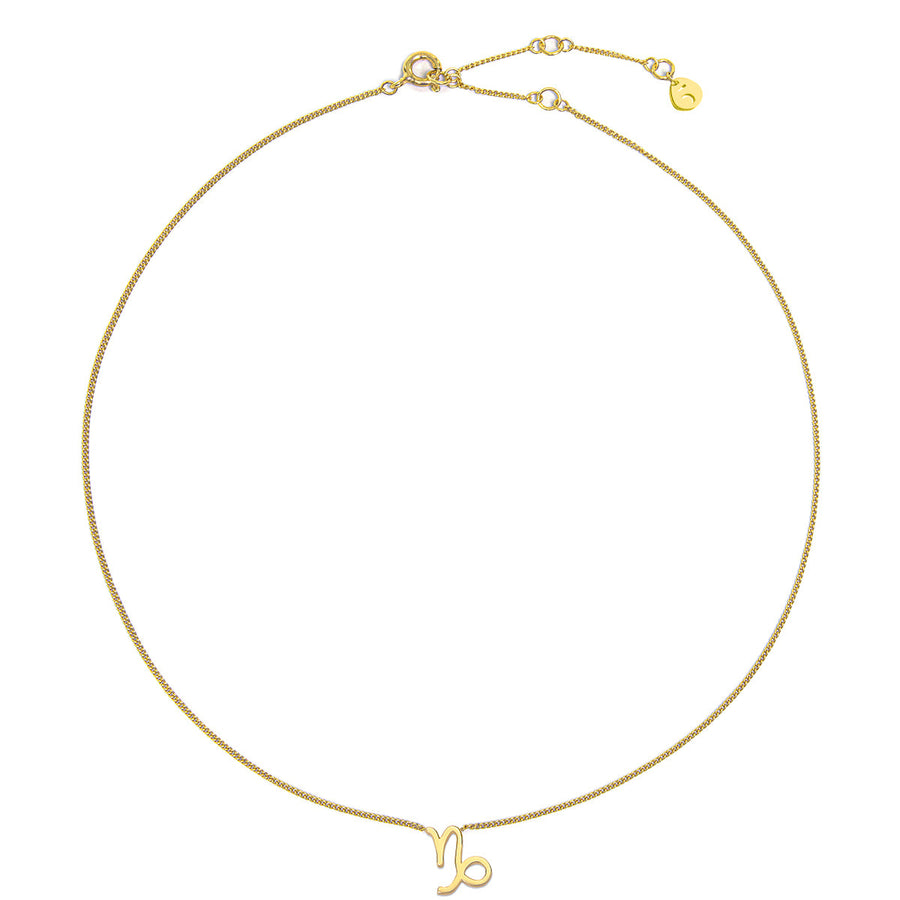 The Ekfrasis Zodiac Capricorn 18K Gold Plated Silver 925° Necklace