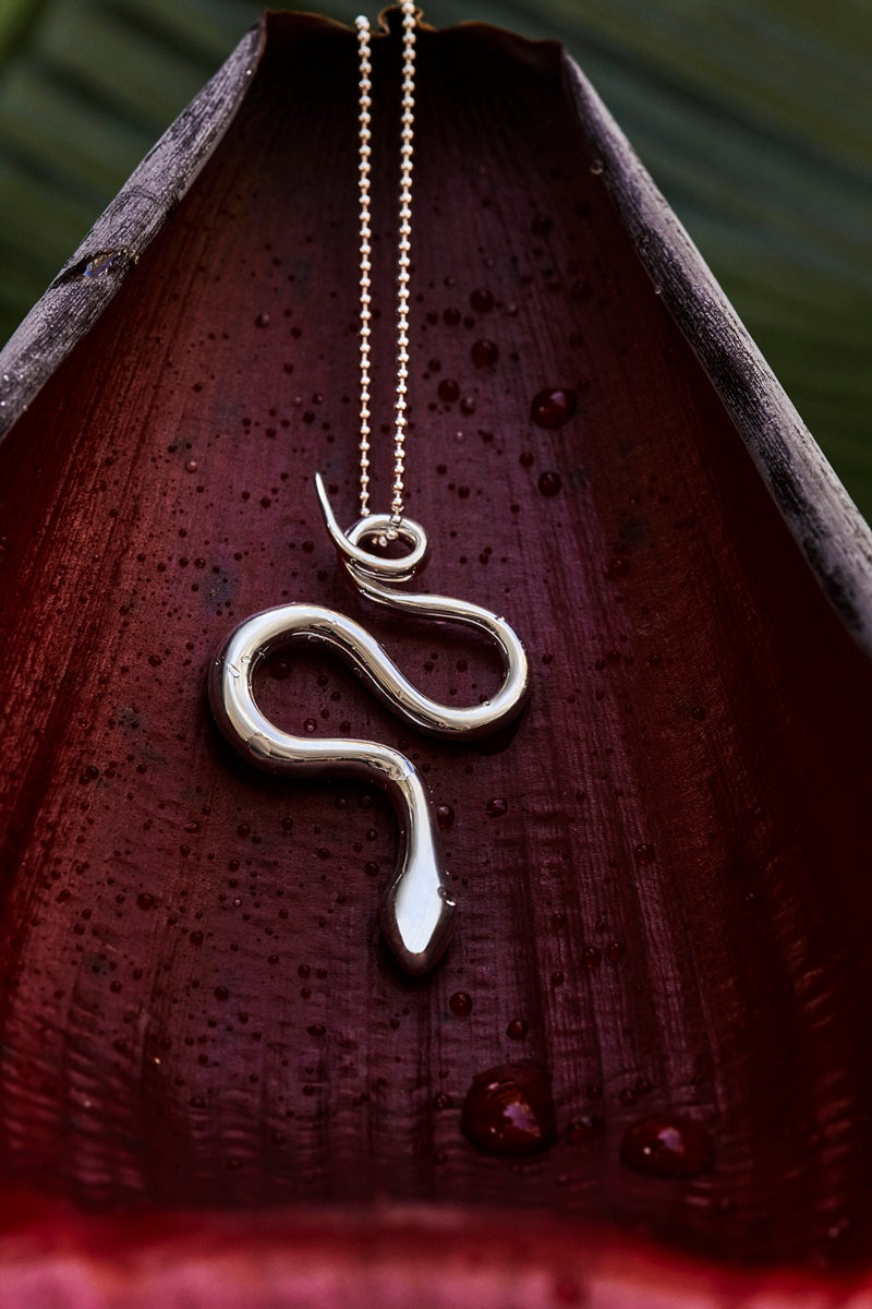 The Essential Snakes with Chain Silver 925° Necklace